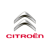 vendita Auto usate citroen alsolitoposto