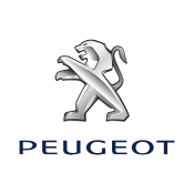 vendita Auto usate peugeut alsolitoposto